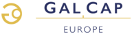 Galleon Capital Logo